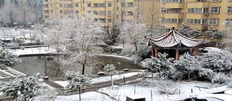 厂区雪景1