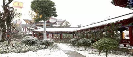 贾湖酒业雪景如画（六）